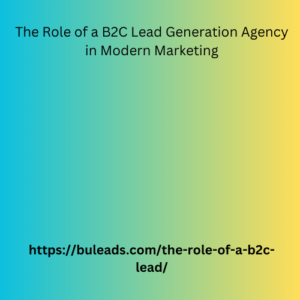 The Role of a B2C Lead Generation Agency in Modern Marketing