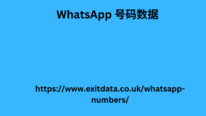 WhatsApp 号码数据